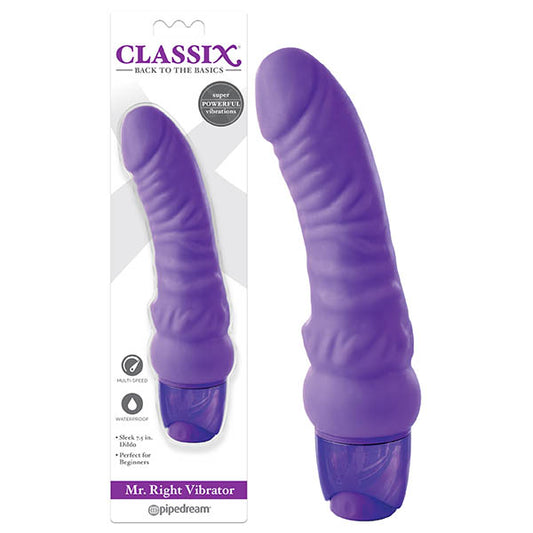 Classix Mr Right Purple Vibrator - My Temptations Sex Toys Online