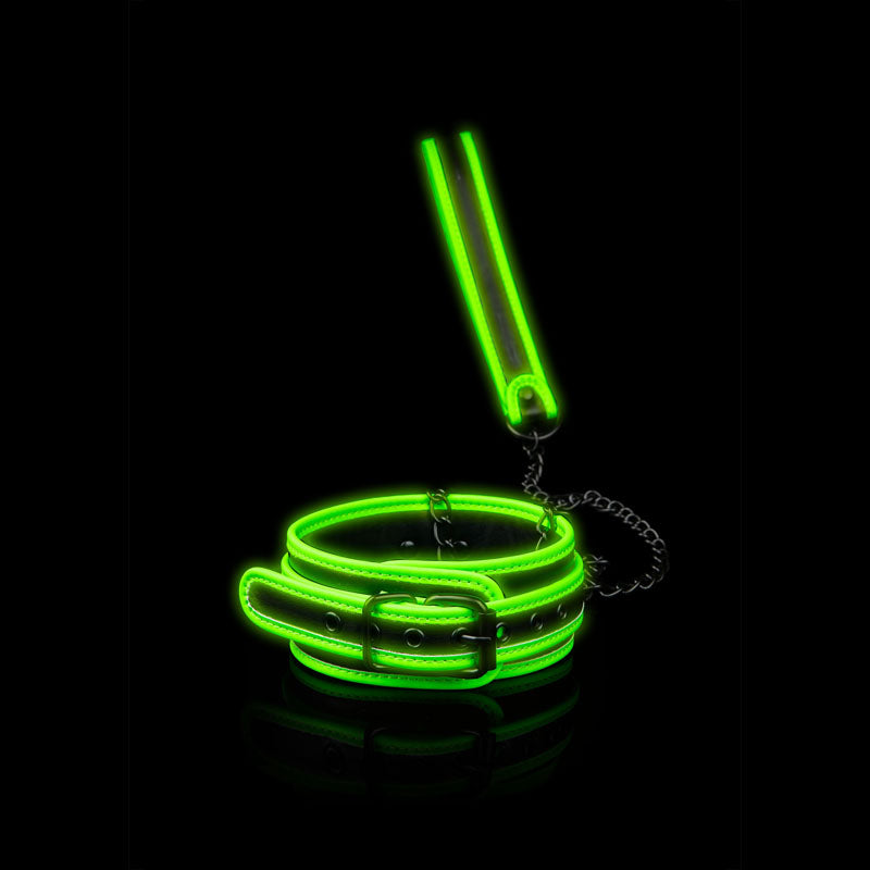 Glow In The Dark Collar and Leash - My Temptations Adult Store