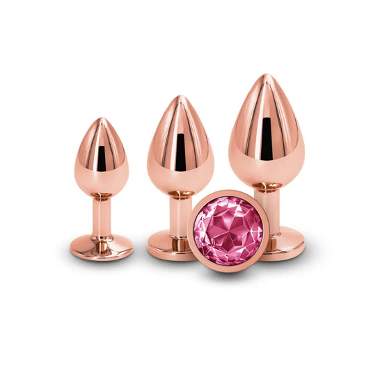 Rear Assets Trainer Kit Rose Gold Pink Butt Plugs