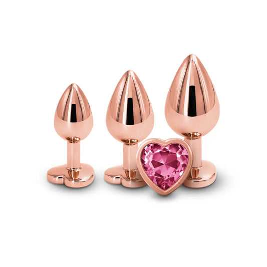 Rear Assets Trainer Kit Rose Gold Pink Heart Butt Plugs