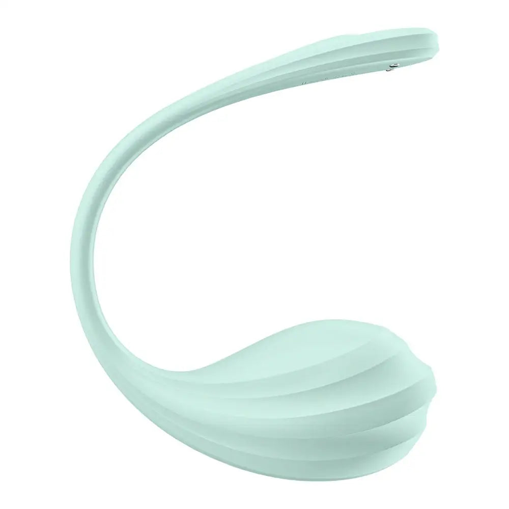 Satisfyer Smooth Petal - Mint - My Temptations Sex Toys