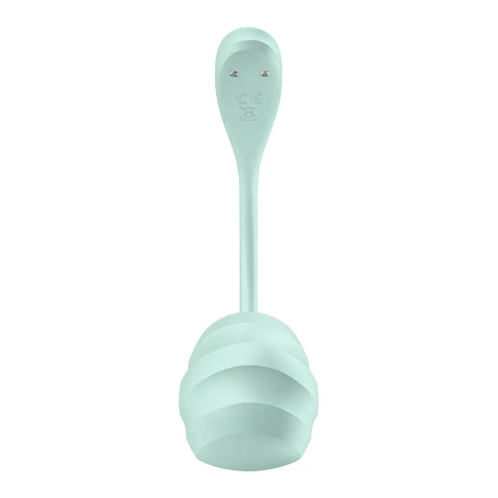 Satisfyer Smooth Petal - Mint - My Temptations Sex Toys