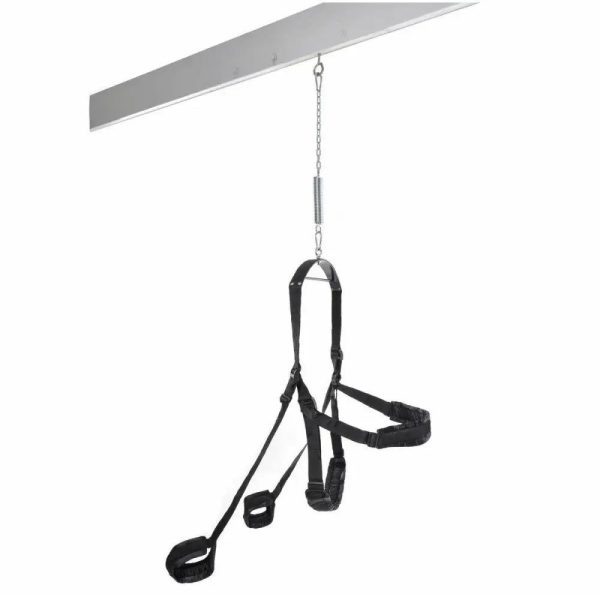 Fetish Fantasy Sex Swing Fetish Fantasy Sex Swing