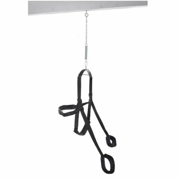 Fetish Fantasy Sex Swing Fetish Fantasy Sex Swing